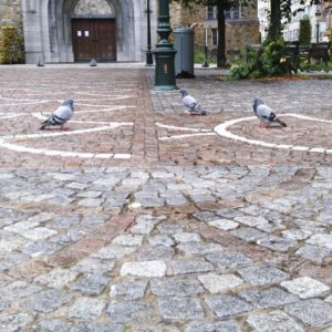 photo d'une place bruxelloise avec des pigeons