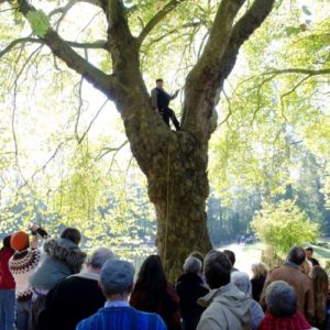 Conteur dans un arbre, devant son public