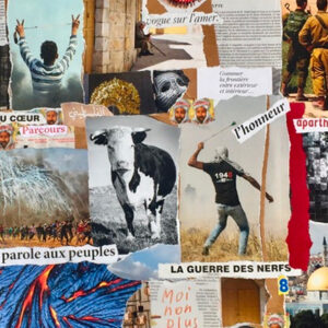 Le rat lecture